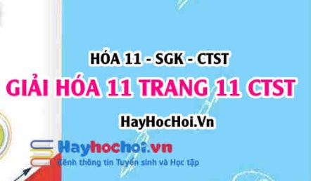 Giải Hóa 11 trang 11 SGK Chân trời sáng tạo